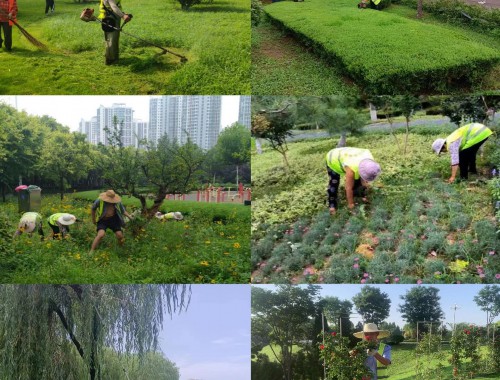 武汉鹏辉美城园林绿化工程