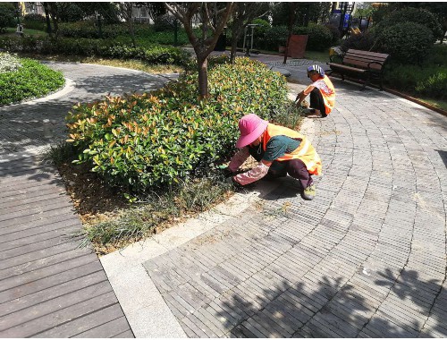 丰南绿化市容热线